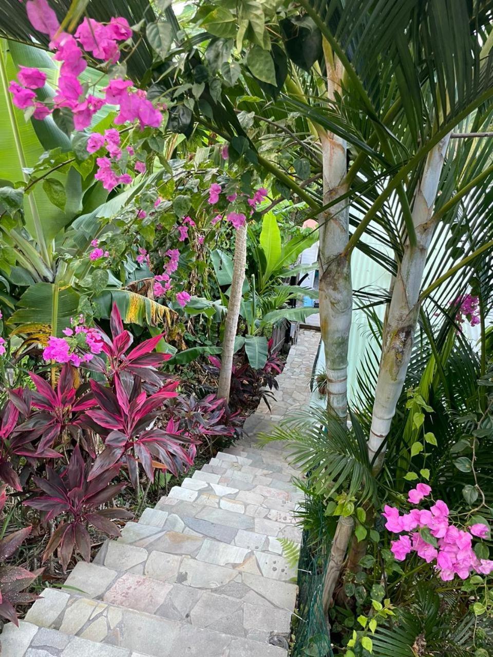 Villa La Casita Ilohe à Riviere-Salee Extérieur photo